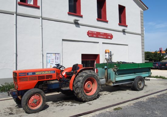 LES VIGNERONS EN TERRES PLURIELLES