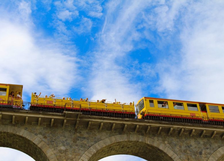 LE TRAIN JAUNE