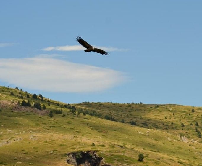EXCURSION VERS LE CANIGOU EN 4X4 AVEC PASSCANIGO