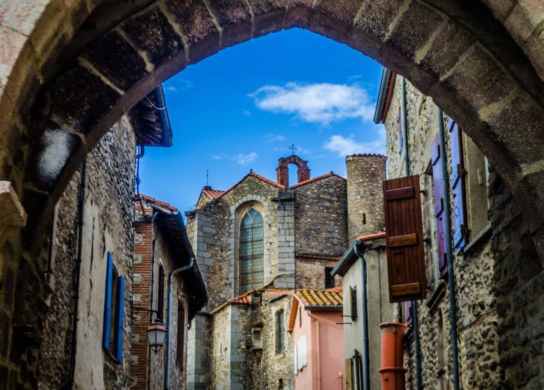 COUNTRY OF ART AND HISTORY CONFLENT CANIGÓ