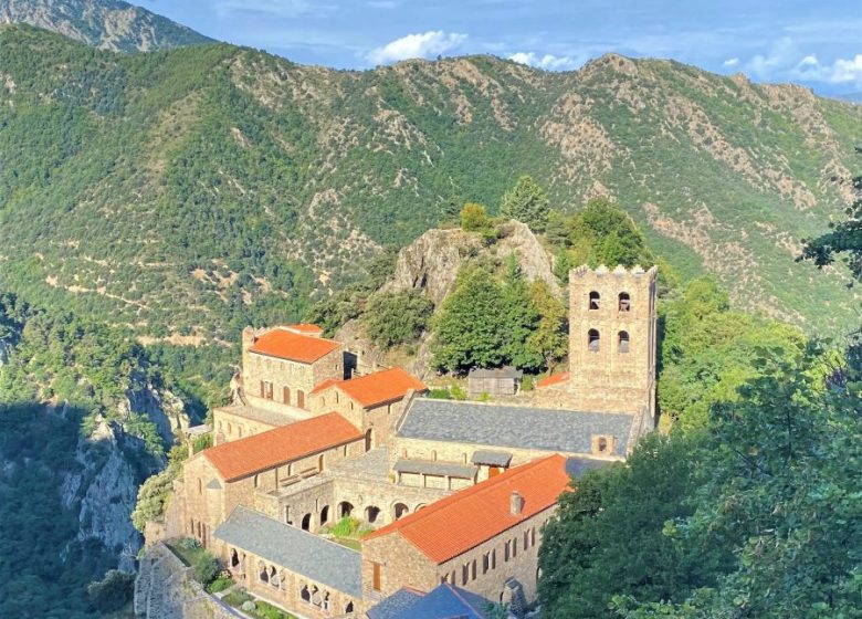 COUNTRY OF ART AND HISTORY CONFLENT CANIGÓ