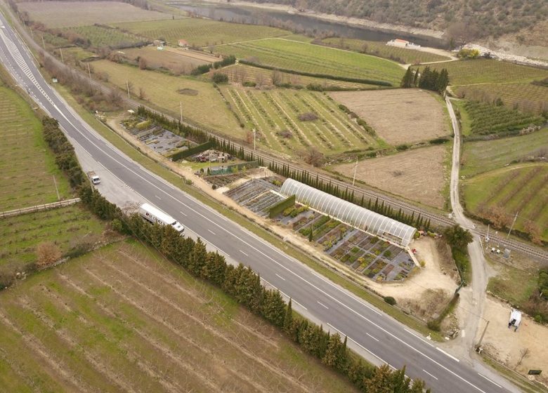 PÉPINIÈRE DU CONFLENT PLANTS D’ARBRES, ARBUSTES ET FRUITIERS ADAPTES A NOTRE TERRITOIRE