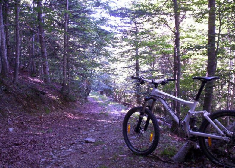 Bac de Dellà (VTT 9)