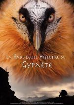 affiche CINÉMA EN PLEIN AIR « LA FABULEUSE HISTOIRE DU GYPAÈTE »