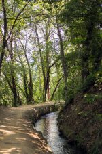 ClaireDROITS RESERVES RANDO ACCOMPAGNEE : LE CANAL DE BOHERE ET L’ABBAYE SAINT-MICHEL DE CUXA
