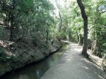 Les Sentiers de Claire RANDO ACCOMPAGNEE : LE CANAL DE BOHERE, LA VIE SUR LES CONTREFOTS DU CANIGO