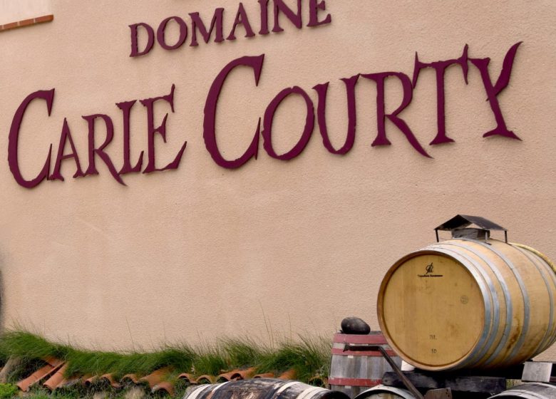 DOMAINE CARLE COURTY