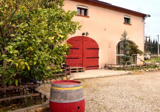 DOMAINE CARLE COURTY