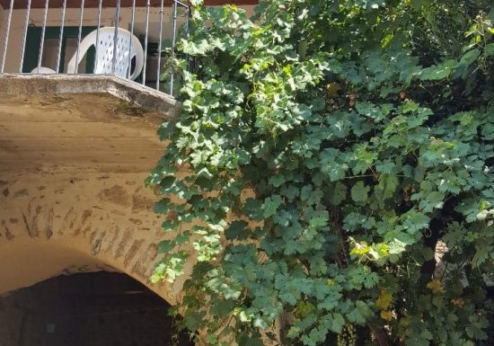 CARRER MAJOR TERRASSE LES ROSES