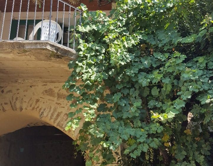 CARRER MAJOR TERRASSE LES ROSES