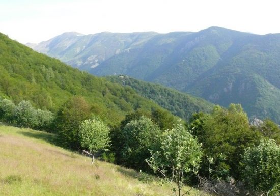 De Prats-de-Mollo à Sant Guillem