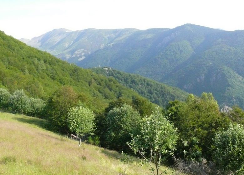 De Prats-de-Mollo à Sant Guillem