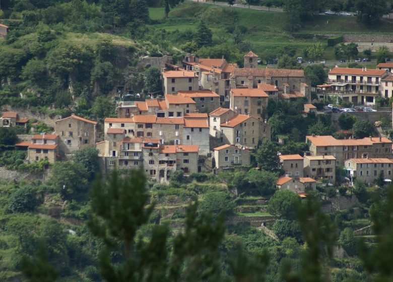 Ronda de gamuza