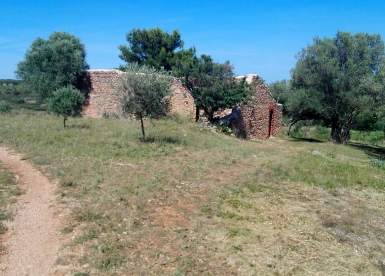 Roc de Majorque, depuis Castelnou