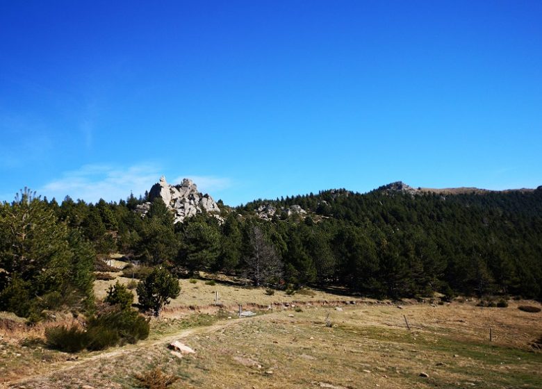 Torre de la Soca