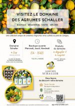agrumes Schaller VISITE LES FRUITS D’AGRUMES RARES