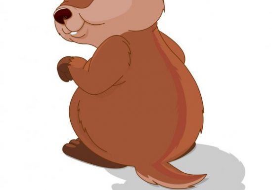 ASSOCIATION LES MARMOTTES