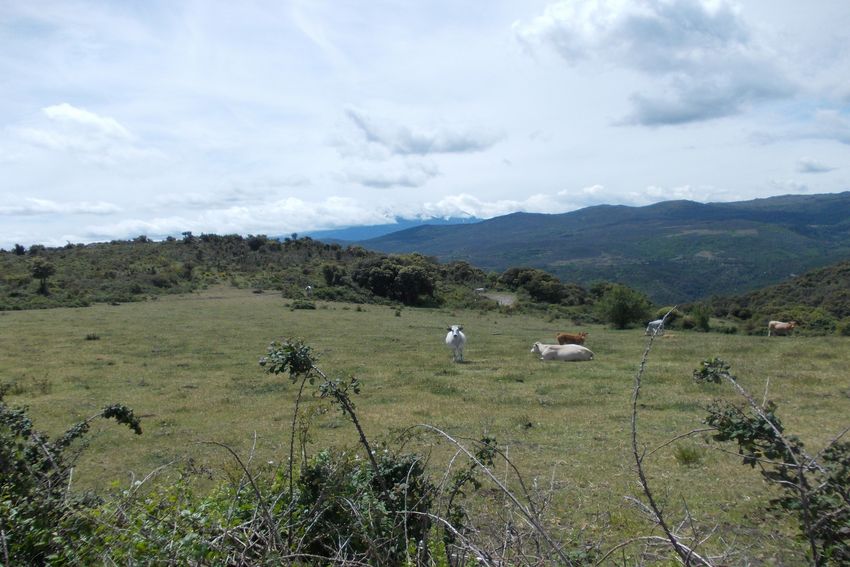 Sentier des Cabanes