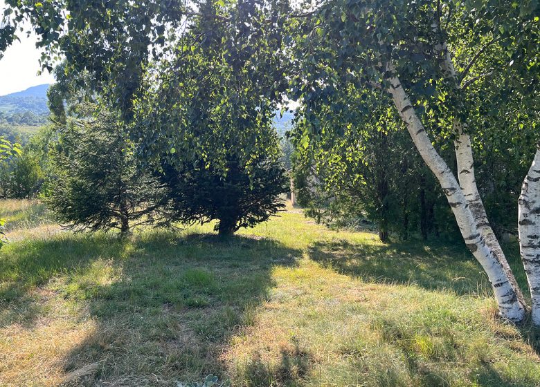 CAMPING DE LA LYRE