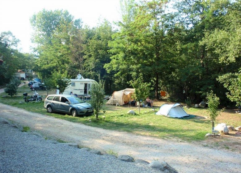 CAMPAMENTO DEL BOSC