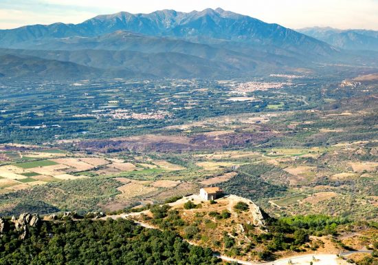 PANORAMA DE FORÇA REAL