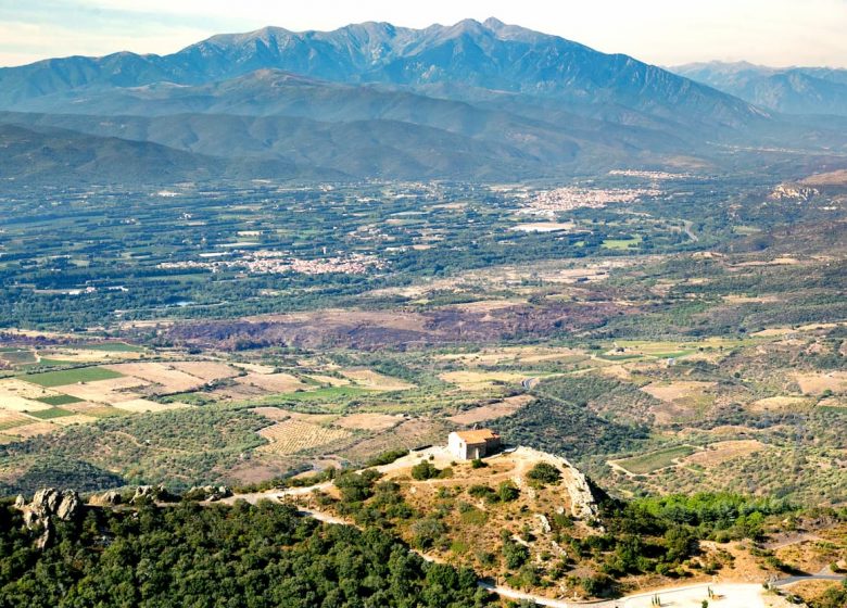 PANORAMA DE FORÇA REAL