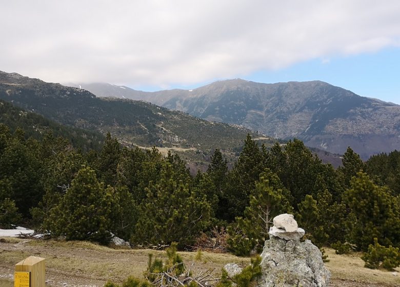 Torre de la Soca