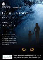 reservenaturelle LA NUIT DE LA FORÊT