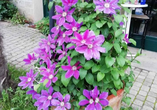 APPARTEMENT SAINT MARTIN DU CANIGOU