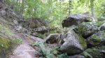 Les Sentiers de Claire RANDO ACCOMPAGNEE : BOUCLE DE L’ABBAYE SAINT-MARTIN DU CANIGOU
