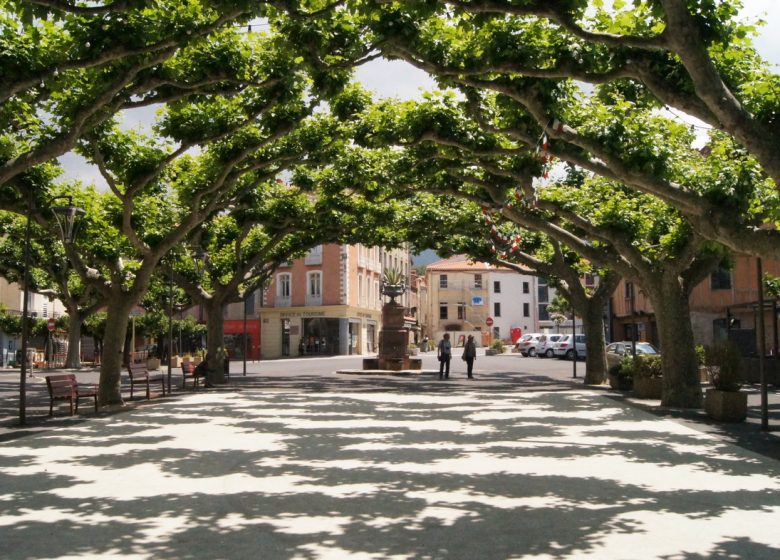 GUIDED TOUR OF THE CITY OF PRADES