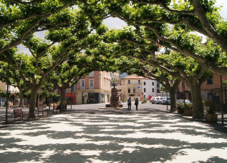 VISITE GUIDEE DE LA VILLE DE PRADES