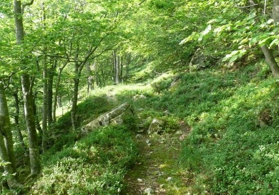 De Prats-de-Mollo à Sant Guillem