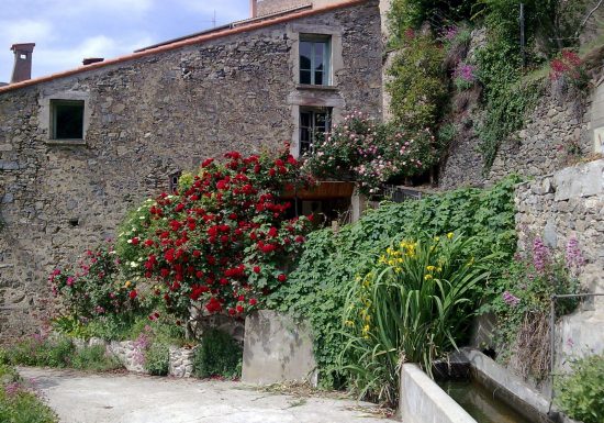 LA MAISON DES ROSES