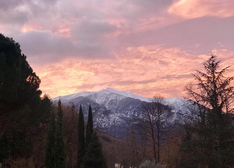 PARC VILLA