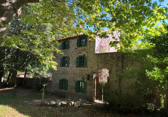 LE GRAND CEDRE GÎTE