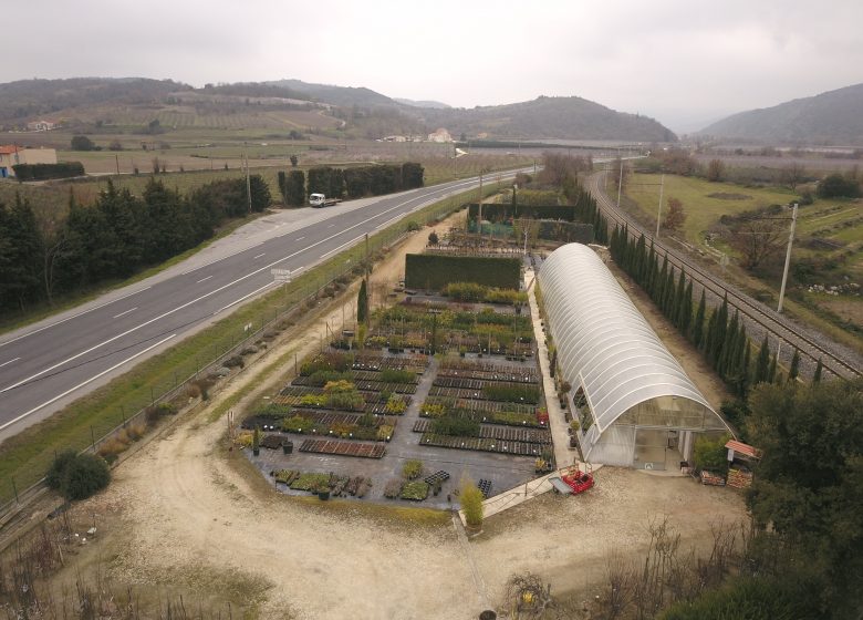 CONFLENT NURSERY TREE PLANTS, SHRUBS AND FRUIT TREES ADAPTED TO OUR TERRITORY