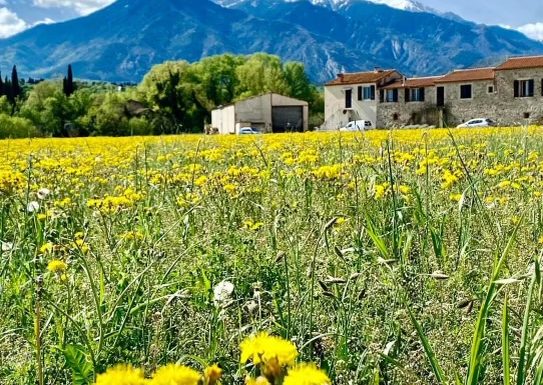 GITE LE CANIGOU 3* DANS MAS TYPIQUE CATALAN