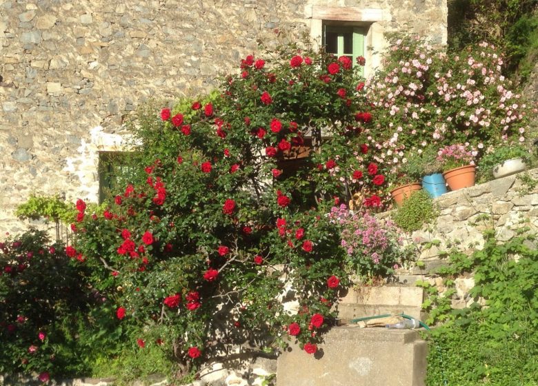 LA MAISON DES ROSES