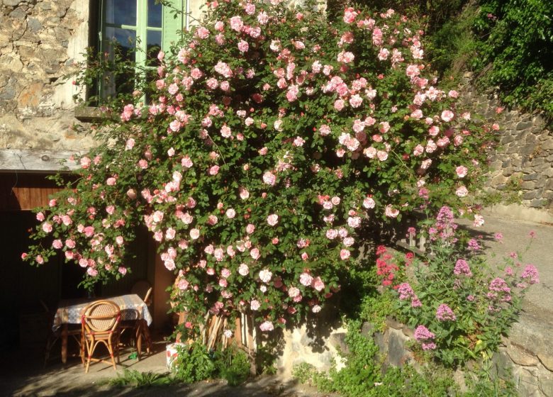 LA MAISON DES ROSES