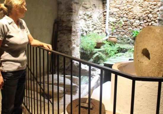 LE MOULIN DES AUXELLES