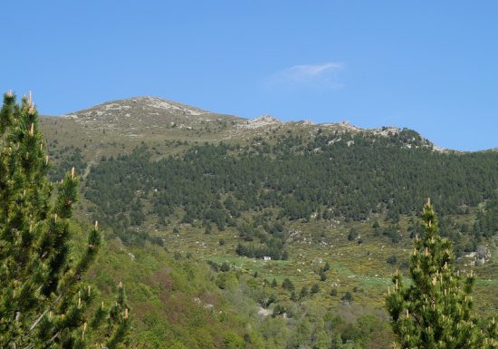 De Leca à la Devesa de Vallbona