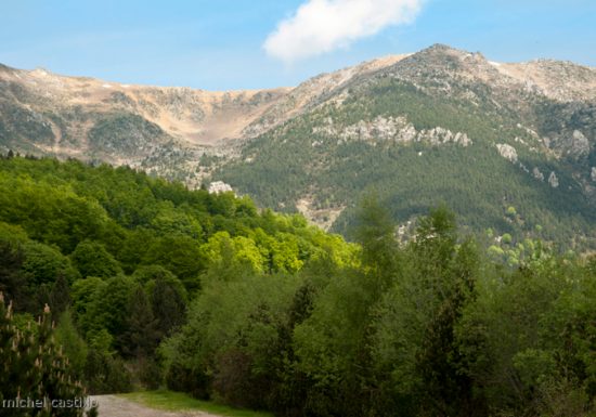 RESERVE NATURELLE DE PRATS DE MOLLO LA PRESTE