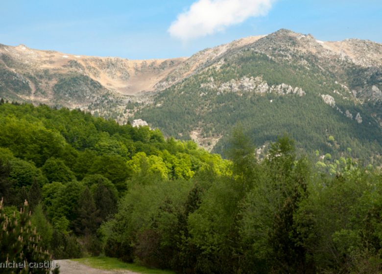 PRATS DE MOLLO LA PRESTE NATURE RESERVE