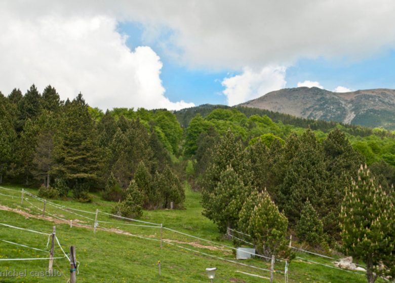 PRATS DE MOLLO LA PRESTE NATURE RESERVE