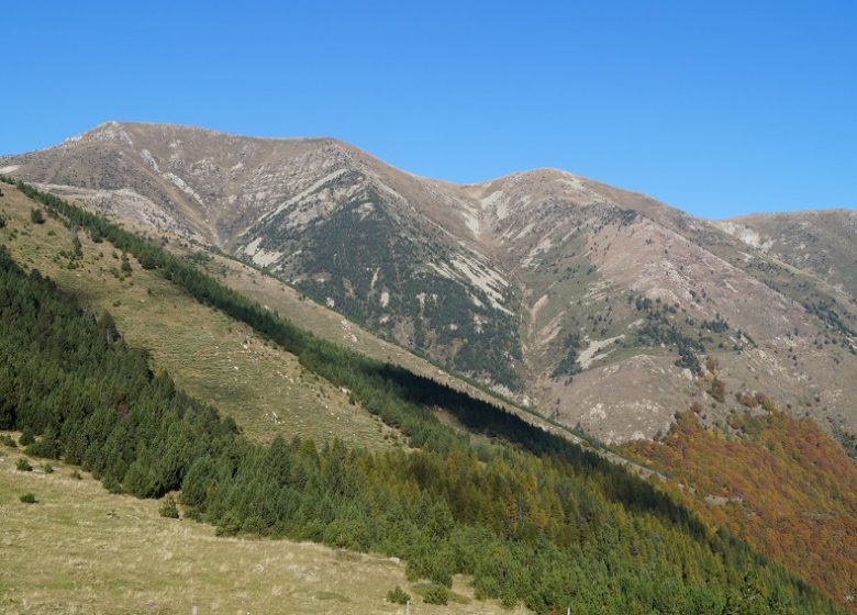 Cal Cabús i la Parcígola