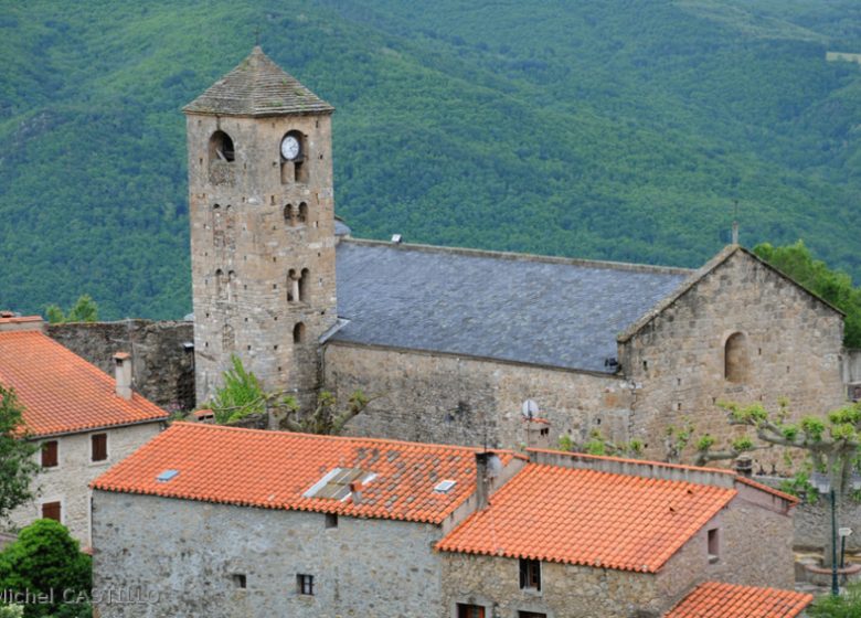 MONTFERRER