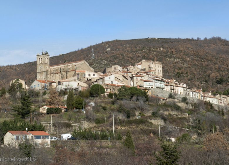 MOSSET