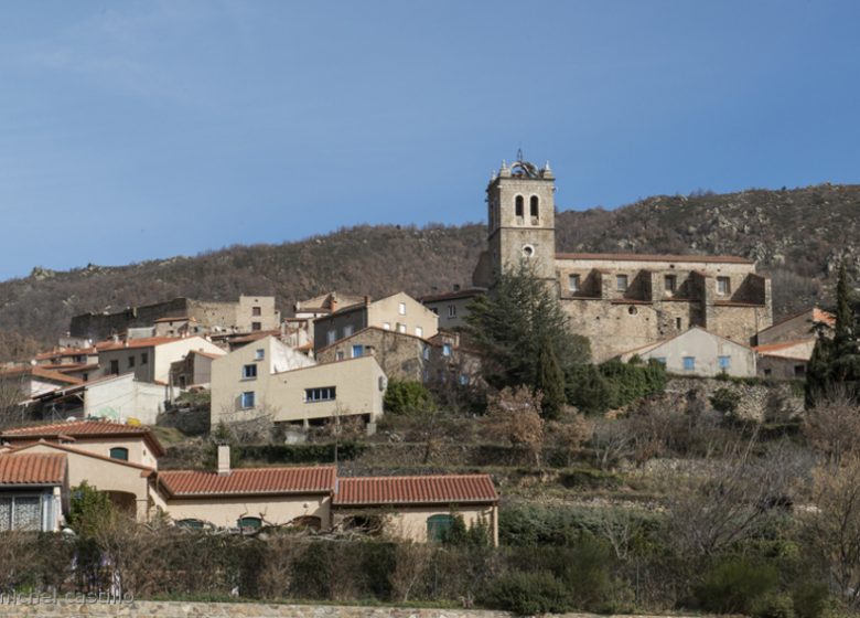 MOSSET