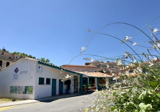 AGENCE D’ATTRACTIVITE TOURISTIQUE AMELIE PAIS CATALA